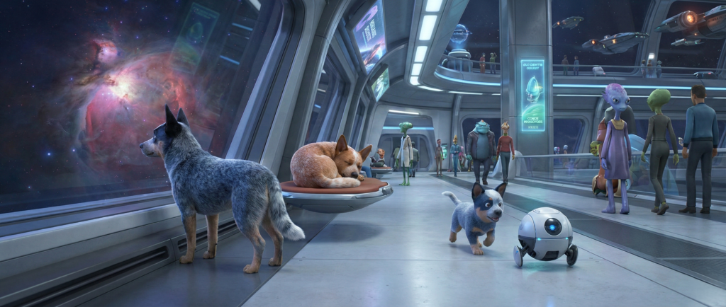 Australian Cattle Dog