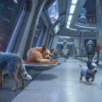 Australian Cattle Dog