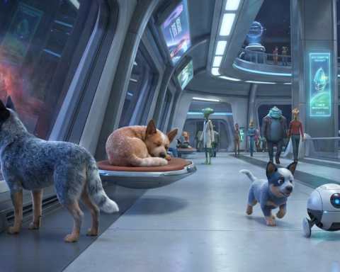 Australian Cattle Dog