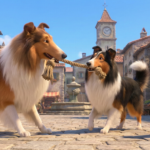 μακρύ Rough Collie τρίχωμα, ποιμενικός, ήρεμος, ευφυής, αφοσιωμένος