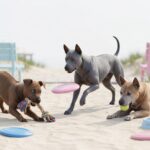 Thai Ridgeback Portrait