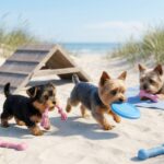 Yorkshire Terrier Portrait